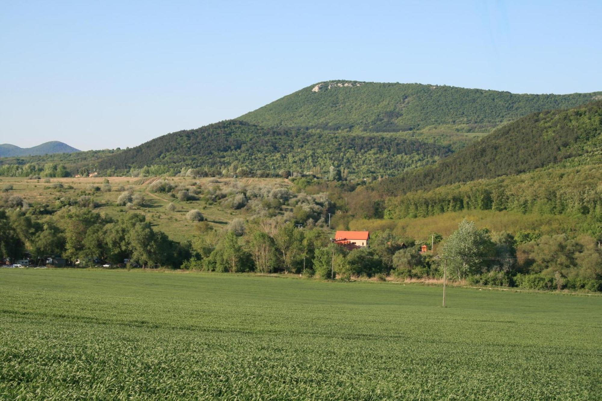 Malomdulo Farmhaz Guest House Pilisborosjeno Exterior photo