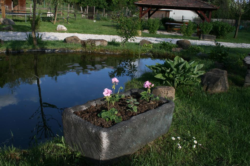 Malomdulo Farmhaz Guest House Pilisborosjeno Exterior photo
