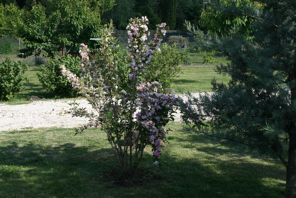 Malomdulo Farmhaz Guest House Pilisborosjeno Exterior photo